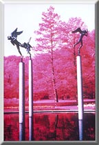 Photo by Diane Maher